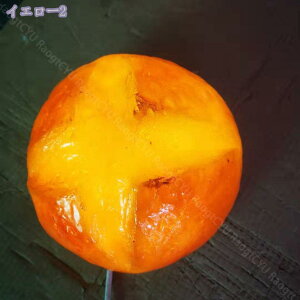 760~OFFN[| dr   p LEDCg 킢 R[hX iCgCg v Ɩ xbhCg fBXvC {[ z[fR _ k  Lv AEghA v