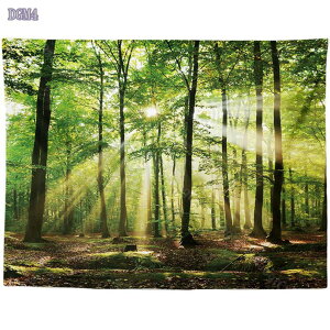 500~OFFN[| Ri Ǌ|  X z  Ǐ CeA _ @\ z|X^[ p[eB[ X   Mtg j Ǌ| ʐ^   X ͋C] 