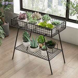 2000~OFFN[| K[fbN t[X^h 2w | S t[bN ԑ [bN S ϗtA T{e  A̐AؔX^h pbht/LX^[t