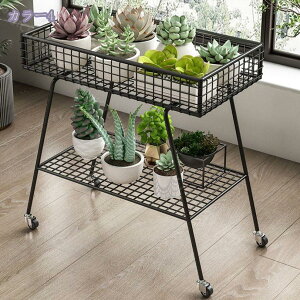 K[fbN t[X^h 2w | S t[bN ԑ [bN S ϗtA T{e  A̐AؔX^h pbht/LX^[tg[͒ 