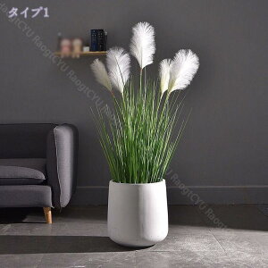 777~OFFN[| Aؔ t Zg _ A rEt ~` L | CeA 뉀̑ ϗtA KW} z ZgAؔ Aؔ 