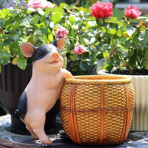  Apvg|bg Ƃ̑ CeA ʔ Ae ApAؔ f  ^v^[ A|bg |pi Jg[ CeA E