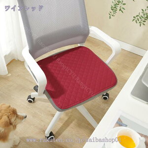 300~OFFN[| tANbV ^  XNGA zc NbV k   ֎q NbV ԂƂ 킢 \t@[p p NbV I[V[Y azc 