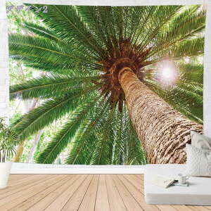 CeA ^yXg[ fBu nC C  썑  _ RRibc̖  ܂G ][g r[` G e[N wi [g[N z 傫  CeA ډB  