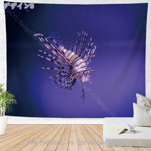 ^yXg[  Ǌ| Cm NQ A[g CeA G ₵ [Ci @\ Ǐ ѕz|X^[ C J[e Vzj a v[g  Ԏd؂  