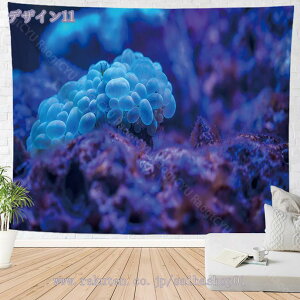 300~OFFN[| ^yXg[  Ǌ| Cm NQ A[g CeA G ₵ [Ci @\ Ǐ ѕz|X^[ C J[e Vzj a v[g 