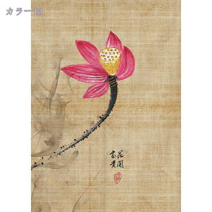 1000~OFFN[| ̂ Ԏd؂ J[e  O g a k  ډB J[e  a_  ̂ Ȃ Ռ ډB  ̂ {I Lb` r