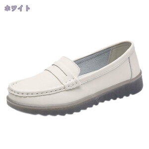 r  \tg JWAV[Y fB[X pvX ɂȂ ₷ EGbW\[ EFbW RtH[gV[Y ItBX ᔽ q[3Z` EhgD RtH[g