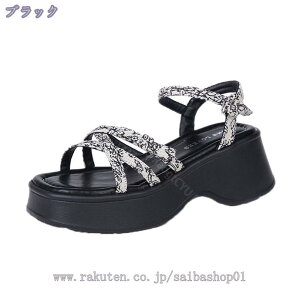 1000~OFFN[| EFbWT_ ҂݂݃Xgbv E₷ r[T RtH[gV[Y ό ][g ău[c [Jbg  Vv nCq[ 6CM tF~j 