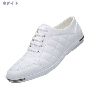 rWlXV[Y Y vC amC C EH[LO JWAV[Y [XAbvV[Y y h hL ʋC ʋ tH[}  Ȃ WMO NbV rWl