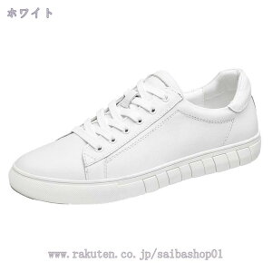 Xj[J[ Y JWAV[Y [Jbg y ʋC fbLV[Y [XAbv  Vv ʊw ʋ X|[c h fB[X jO tBbglXV[Y t