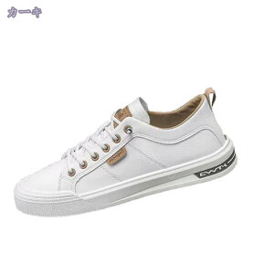 500~OFFN[| Y rWlXV[Y hCrOV[Y [t@[ amC [XAbv _炩 ₷ ʋC Ȃ JWA V[Y AE  t  H 