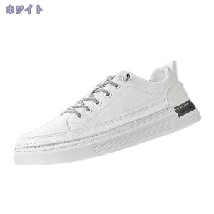 500~OFFN[| EH[LOV[Y Y y Xj[J[ WMO JWA ^C EH[LO ʋC AEghA g[jOV[Y w ʊw T[} StV[Y 