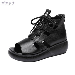 T}[u[c fB[X u[cT_ [XAbv r 킢 ʋC I[vgD obNWbp[ ₷ EFbW\[ 5.5cm  u[eB y  OfBG[^[ d