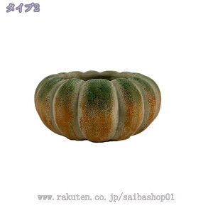 500~OFFN[| T{e ʔAؔ J{`^ AȃJ{`  J{`̃f v^[ Zg X^CbV ͋CAbv CeA K[fjOpi 