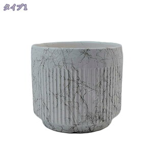 300~OFFN[| ϗtAAؔ T{e v^[ gCt   Aؔ ꌊ Aؔ X^CbV ȐAؔ Ƃ̏ v[g Mtg t[