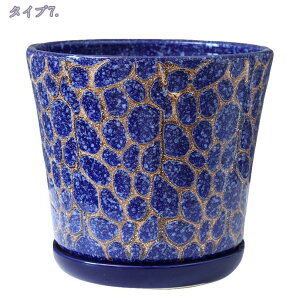 eRb^ A T{e ~͔ k Vv ʋC ꌊt gCt  NGCeBu ی` CeA    㑕i IV [bp | A