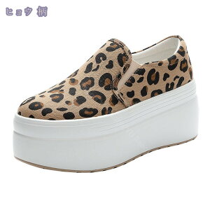 777~OFFN[| Xb| fB[X C LoX Xj[J[ ₷ [t@[ V[Y Ȃ TChSA tbgV[Y Xb| fbLV[Y ʋ ʊw ^