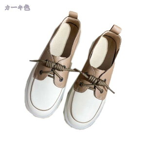 500~OFFN[| XNGAgD oGV[Y fB[X tbg V[Y  [q[ ؂ q[ ₷ JWA Vv ₷ pvX ɂȂ ʋ d