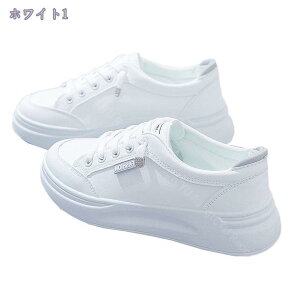 1000~OFFN[| JWAV[Y fB[XtbgV[Y ₷ Xj[J[ EH[LOV[Yp [XAbv r ʋC ~ y ɂ EH[LO 