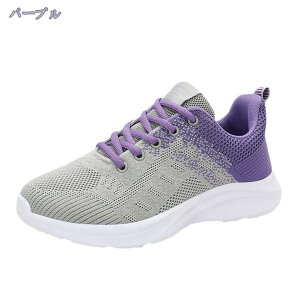 500~OFFN[| Xj[J[ fB[X jOV[Y ʋC y ~ X|[cV[Y [XAbv WMO EH[LO ^C  s ʊw ʋ 풅p  