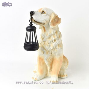 K[f u  G 킢 K[fI[ig \[[Cg   uCg I[ig   K[fCg fR[V IuWF LED v[g O AEg