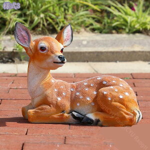  IuWF I[ig K[fI[ig u K[fjO Aj}  킢 CeA G AEghA O x_ ̒u fR[V | 蕨 a