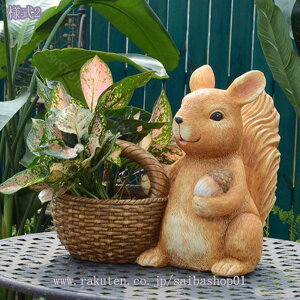 1000~OFFN[| K[f I[ig u K[fjO IuWF K[fI[ig  CeA  X  킢  fR[V  O Ő AEghA 