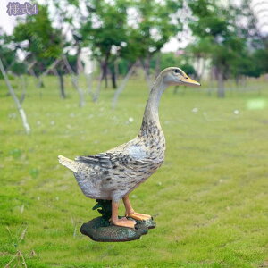 2000~OFFN[| K[fjO Aq G u I[ig K[fIuWF  |G CeA   ̒u K[fjO K[fI[ig Ő ֐ 