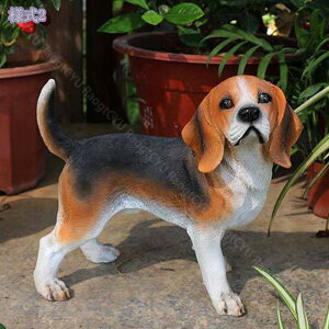 u IuWF k   CeAG   K[fjO I[ig 킢 Aj}G  O AEghA fR[V ɒu K[fIuWF  