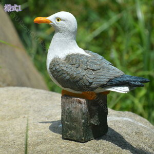 u O  K[fjO I[ig   Aj} K[f IuWF 킢  CeAG    x_ Ő Ԓd Jg[G   NX}X