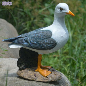 1000~OFFN[|   CeA  u  K[fjO  G IuWF K[f kG  v[g  fR[V   i` AEghA ]