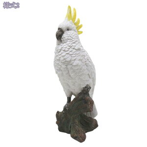 1000~OFFN[| u 킢  K[fjOG    K[f    CeA t ObY av[g Mtg h AEghA fR