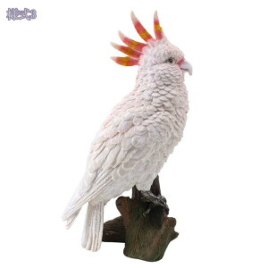 500~OFFN[| u 킢  K[fjOG    K[f    CeA t ObY av[g Mtg h AEghA fR[