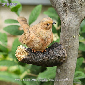 300~OFFN[| K[fjOG  u K[f I[ig   IuWF K[fjO K[fG    K[fI[ig CeAG | k O h