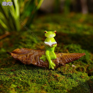 킢 u IuWF  JG K[fjOG Aj} I[ig ̒ CeA  ~͑ ~͏ K[f G IVȒu  Ԓd Gݏ ̒u