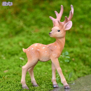 300~OFFN[| u CeA  K[f    킢 }CNi K[f I[ig  IuWF K[fjO    K[fG O 