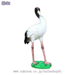 K[fjOu   u 킢 IuWF O h ϋv  G K[fI[ig  Jg[G CeA i  k K[fjO 蕨 Op