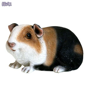 K[fjO u  K[fI[ig bg G  O AEghA fR[V  u IuWF 킢 ~͑ ~͏ CeA   h