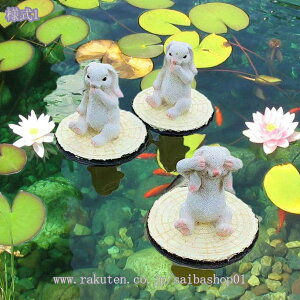 1000~OFFN[| u  K[fI[ig ̒ K[fIuWF Ő   蕨 v[g Jg[G h ϋv i }CNiH|i  k Iu