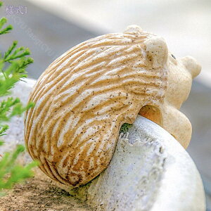 300~OFFN[| K[fjO u nlY~ G IuWF I[ig K[f   킢  Aj} G   Mtg  CeA Ő ֐  K[f