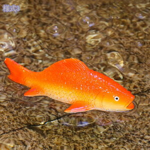 500~OFFN[| u  K[fI[ig  ̒ K[fIuWF Ő   蕨 v[g Jg[G h ϋv i }CNiH|i  k I