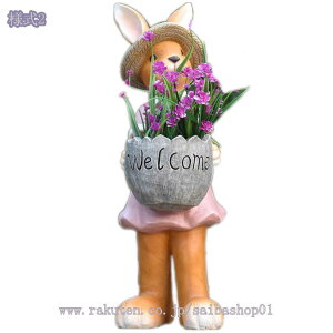 u  K[fjOG K[fjO u IuWF  G CeA   ɒu̒u K[fI[ig 傫 v[g Mtg | O  Jg