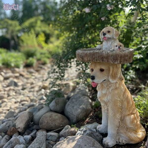 O  K[fI[ig K[fjOIuWF  u   h O AEghA fR[V Ő ̃I[ig ̑p K[fp Mtg  IuWF 