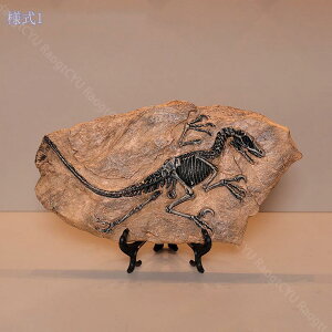 1000~OFFN[| CeAG  u IuWF LO _    I[ig  kG z[fR[V  킢G  rO  a v