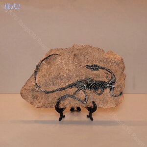 300~OFFN[| ̃IuWF k CeA IuWF  Vv fR[V u kG  CeAG 킢 IVG  v[g fXN ItBX