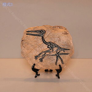 300~OFFN[| ̃IuWF k CeA IuWF  Vv fR[V u kG  CeAG 킢 IVG  v[g fXN ItBX