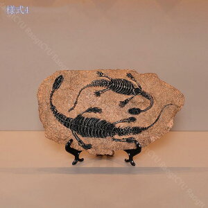 500~OFFN[| ̃IuWF k CeA IuWF  Vv fR[V u kG  CeAG 킢 IVG  v[g fXN ItBX