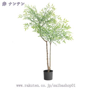 1000~OFFN[| tFCNO[ lHϗtA t  z[ x_ p ^ CeA sv sv Q̐SzȂ zj Vzj  Ύ ϗt