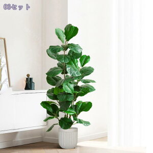 2000~OFFN[| lHϗtA tFCNO[ ^ lHA lH CeA ϗtA lHϗtA 傫Ηt j 킢 lHϗt ɏA Vv ItBX  